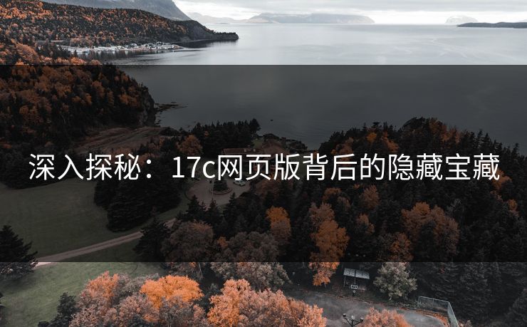 深入探秘：17c网页版背后的隐藏宝藏