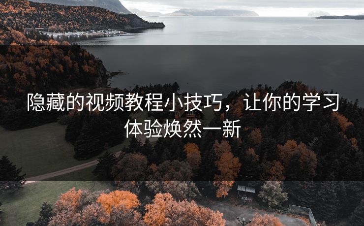 隐藏的视频教程小技巧，让你的学习体验焕然一新