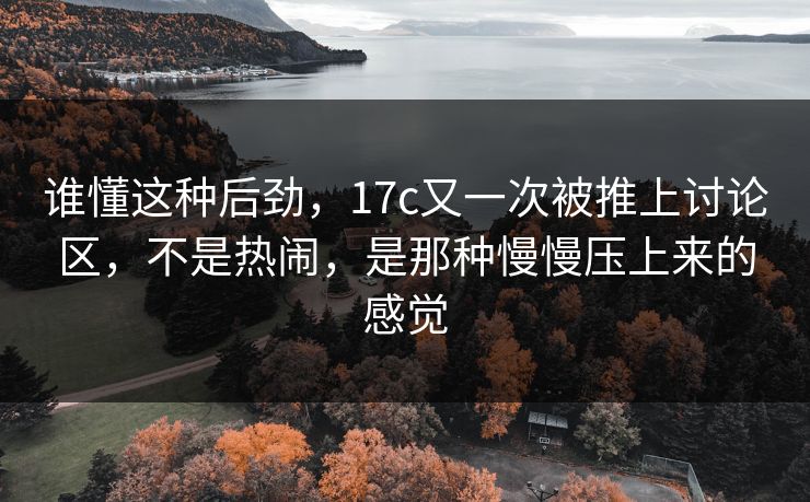 谁懂这种后劲，17c又一次被推上讨论区，不是热闹，是那种慢慢压上来的感觉