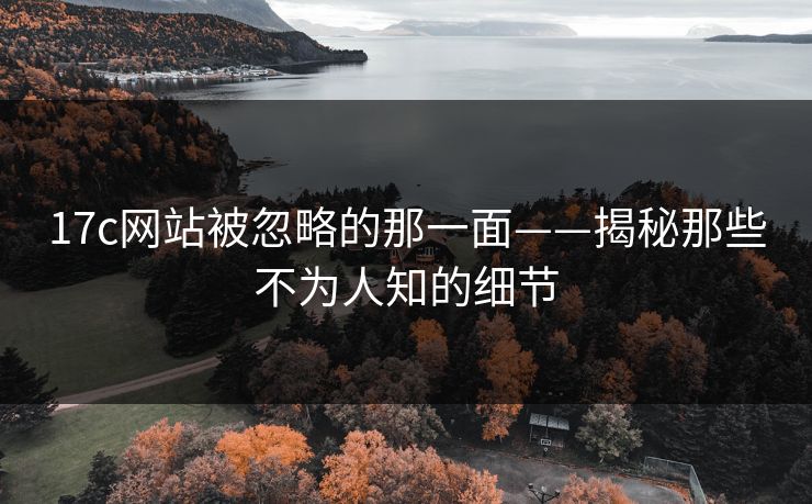17c网站被忽略的那一面——揭秘那些不为人知的细节