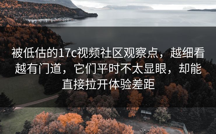 被低估的17c视频社区观察点，越细看越有门道，它们平时不太显眼，却能直接拉开体验差距
