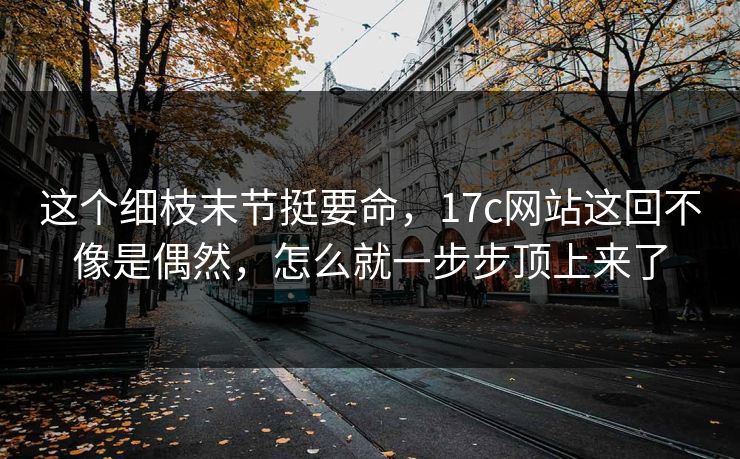 这个细枝末节挺要命,<strong>17C</strong>网站这回不像是偶然,怎么就一步步顶上来了