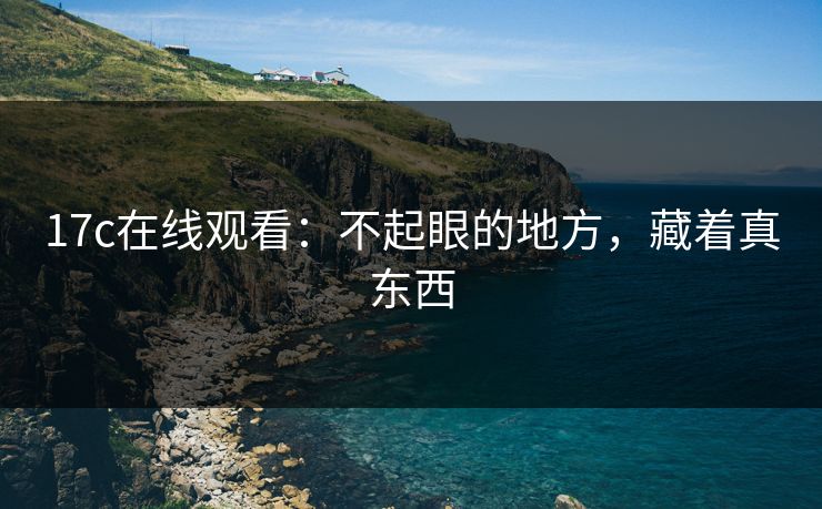 17c在线观看：不起眼的地方，藏着真东西